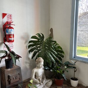 Rincón de Eirá con plantas y luz natural