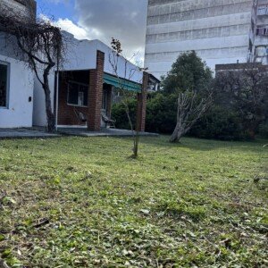 Patio con jardín de Eirá Terapia Integrativa, La Plata